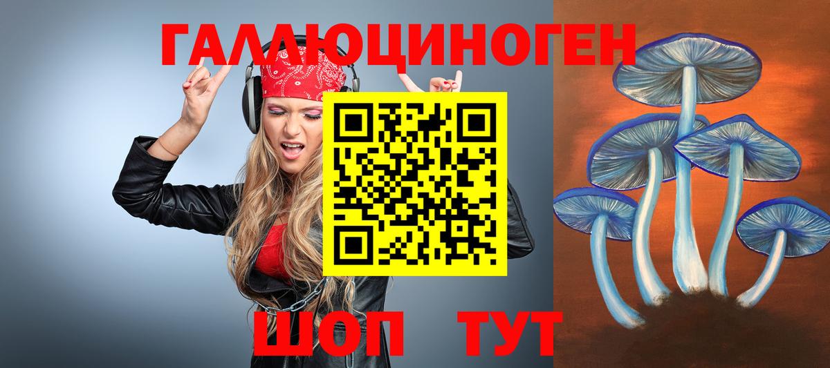 Псилоцибиновые грибы Psilocybe  Вход с VPN  Магнитогорск 